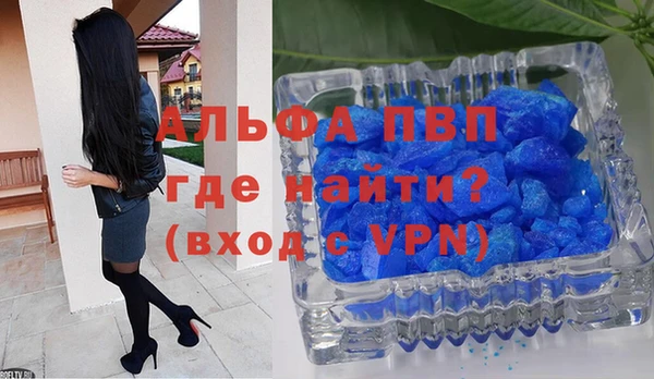 спайс Баксан