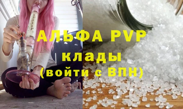 спайс Баксан