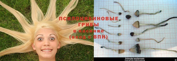 спайс Баксан